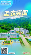 从肯德基背后到全